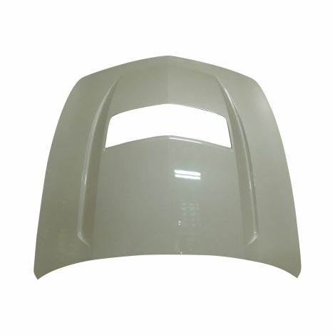 2016-19 Cadillac CTS-V Carbon Fiber Hood OEM GM Abalone White Pearl G1W 84068536